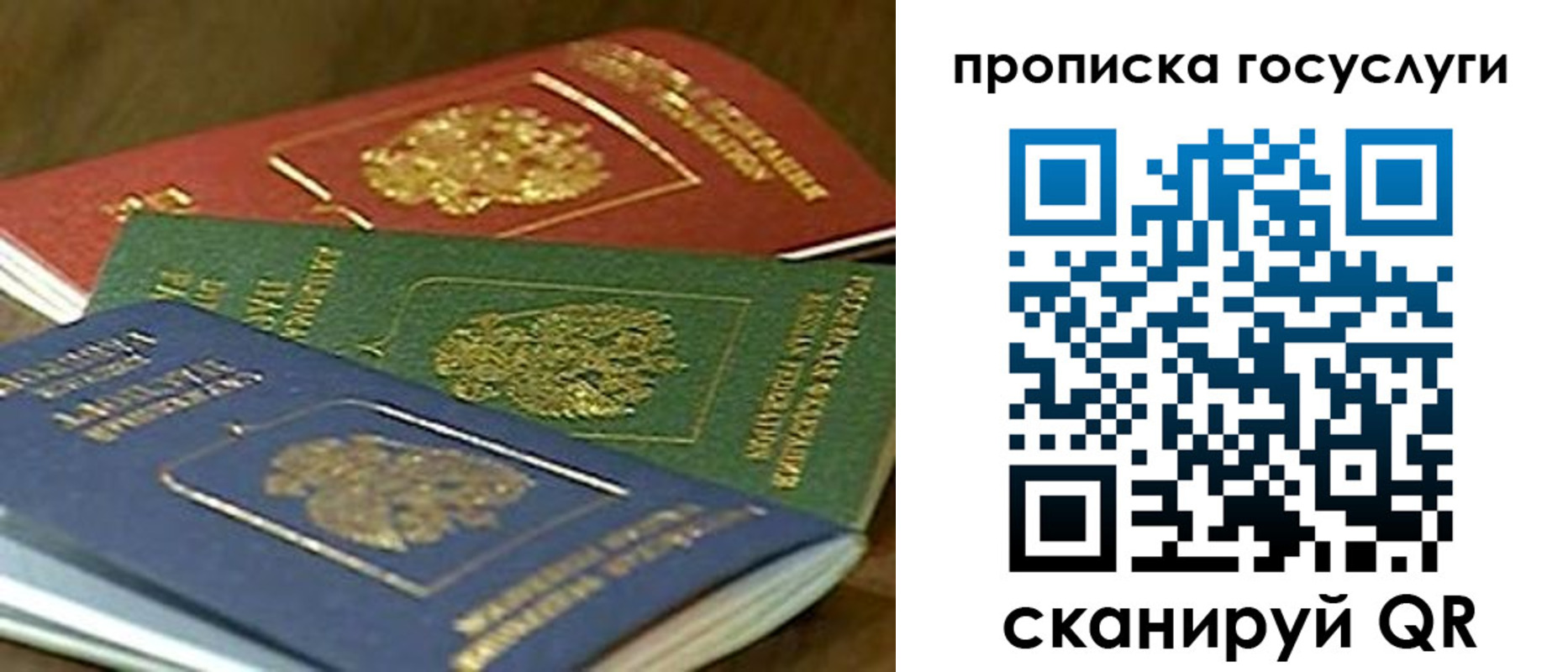 прописка гарантия в Трёхгорном